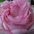 Tarie Ann Frazier's profile image