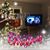 Dawn Rafferty Bloechl's profile image