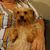 Sandra Landers's profile image