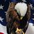 Patricia Legg's profile image