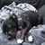 Kathy Gelfond Regalado's profile image