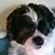 Bonnie Gabowitz's profile image