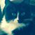Brenda Bateman's profile image