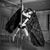 Robyn Nightingale's profile image