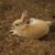 Mary Heffernon's profile image