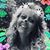 Connie Schmidt's profile image