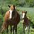 Jean Dunn Golden's profile image