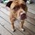 Jean Mitchell's profile image