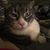Teri Pappas's profile image