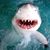 Joanne Fantasia Cedrone's profile image