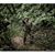 Dane Lengerman's profile image