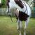 Jenn Brandow-Knouff's profile image