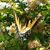 Carolann Fargnoli Feeley's profile image