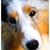 Alyssa Fenton's profile image