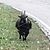 Deresa Gray's profile image