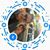 Kay Bru Ckmeier's profile image