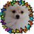 Moe Paredes's profile image