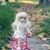 Poornima Magadum's profile image