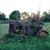 Kimberly Snider's profile image