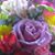 Dorothy Tom Duflo's profile image