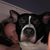 Lisa Griffis's profile image