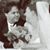 Erika Wicklund Tatem's profile image