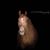 Lynn Pfau's profile image