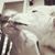 Jamie Rairie's profile image