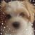 Maria Myers's profile image