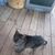 Linda Jodway's profile image