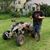 Mike Lear's profile image