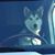 Randy Broscheit's profile image