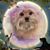Jerri Hasz's profile image