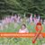Chassidy Lynn Randall Johnson's profile image