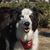Lex Woofer's profile image