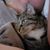 Traci Lynn Stephens's profile image