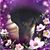 Linda Horak's profile image