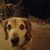 Jenny Clayton's profile image