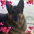 Deb Thompson Burns's profile image