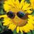 Sharon Kaye Smith's profile image