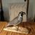 Lois Gilbert's profile image