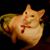 Dana Thompson's profile image