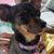 Loree Ramirez's profile image