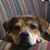 Wayne Heightchew's profile image