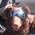 Stephen Letendre's profile image