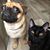 Shawna Canas's profile image