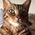 Dolly Bendall Burdett's profile image
