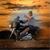 Frode Saxeide's profile image