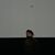 Coral Lehrman's profile image