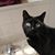 Angie Brown Butler's profile image